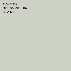 #CED1C5 - Sea Mist Color Image